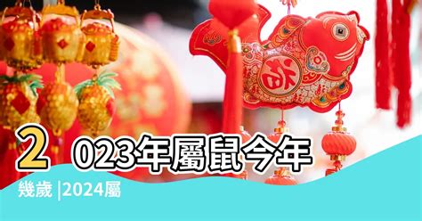 屬豬 年份|屬豬今年幾歲｜屬豬民國年次、豬年西元年